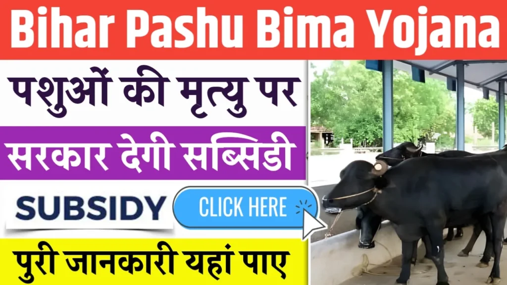 Bihar Pashu Bima Yojana 