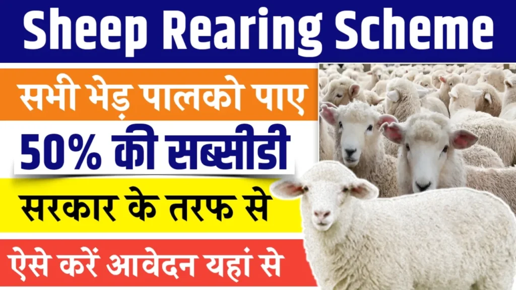 Sheep Rearing scheme 