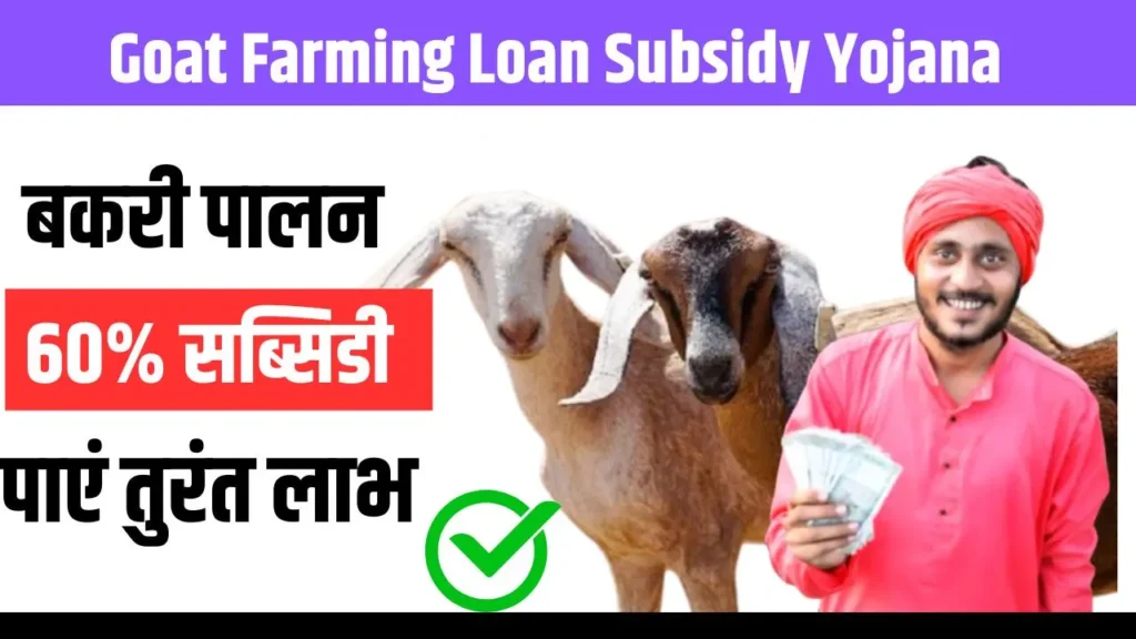 Goat Farming Loan Subsidy Yojana 